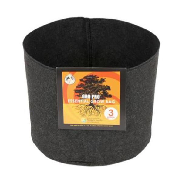 Q100526.jpg