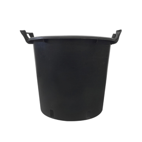 Q100504.jpg