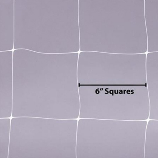 Q100609-03.jpg