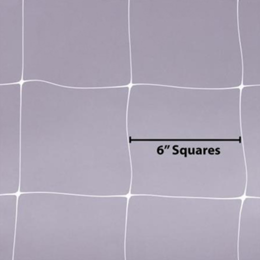 Q100609-03.jpg