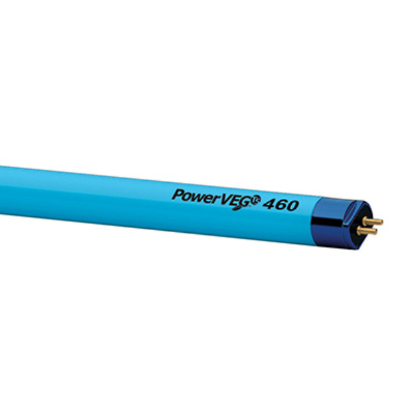 Q100906.jpg