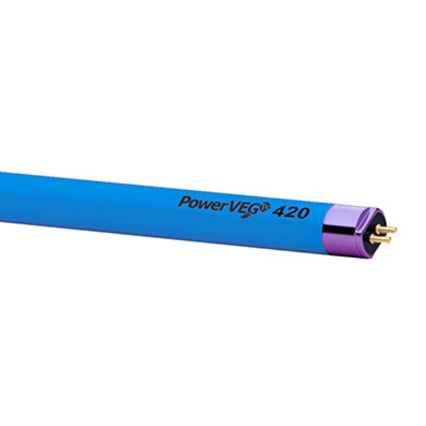 Q100905.jpg