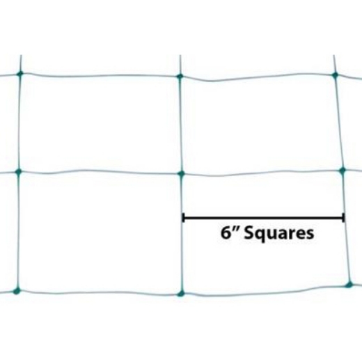Q102388-06.jpg