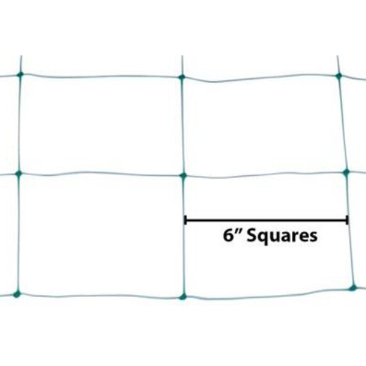 Q102388-06.jpg