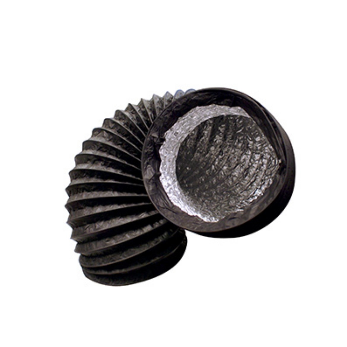 Q100859.jpg