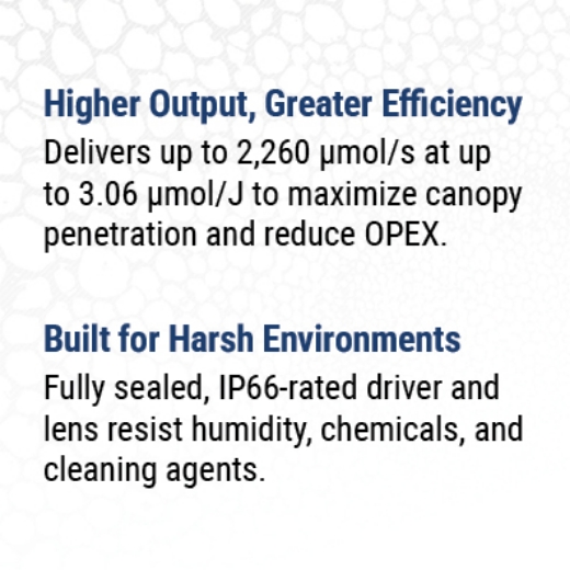 Fluence-SPYDR-3-Higher-Output.jpg