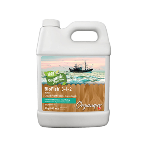 Q116685.jpg
