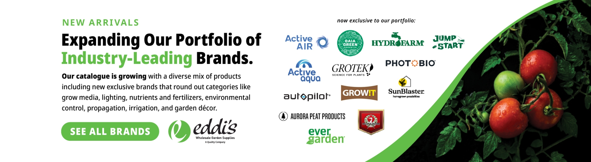 Eddis-Wholesale-Quality-New-Exclusive-Brands
